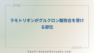 ラモトリギンがグルクロン酸抱合を受ける部位【薬剤師国家試験109回問210,211】