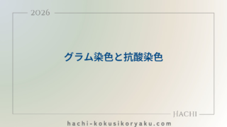 グラム染色と抗酸染色【薬剤師国家試験109回問119】