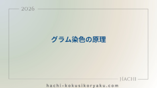 グラム染色の原理【薬剤師国家試験104回問117】