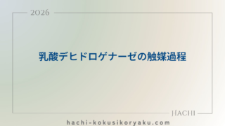 乳酸デヒドロゲナーゼの触媒過程【薬剤師国家試験109回問106】