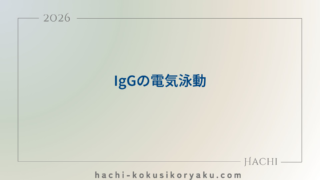 IgGの電気泳動【薬剤師国家試験111回問114】